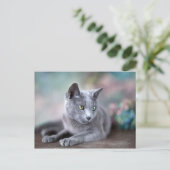 Russisch blauw briefkaart (Staand voorkant)