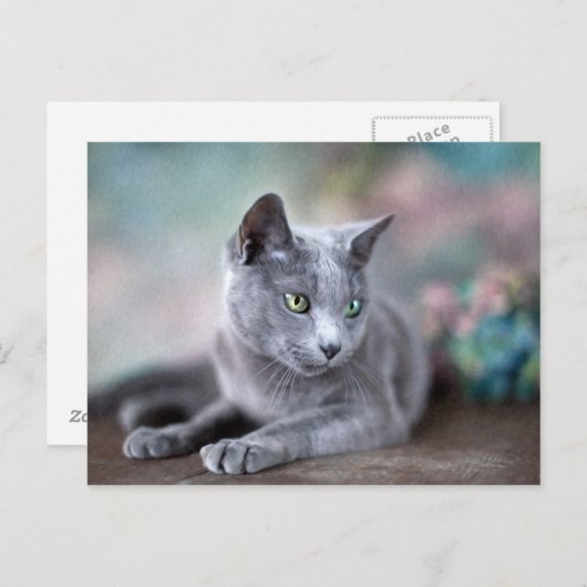 Russisch blauw briefkaart (Voorkant / Achterkant)