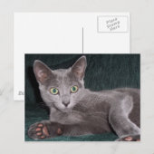 Russisch blauw Briefkaart (Voorkant / Achterkant)