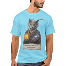Russisch Blauw Einstein Kat - Verbeelding