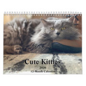 Russisch blauw en gember Sinaasappel Tabby Cats 20 Kalender (Hoes)