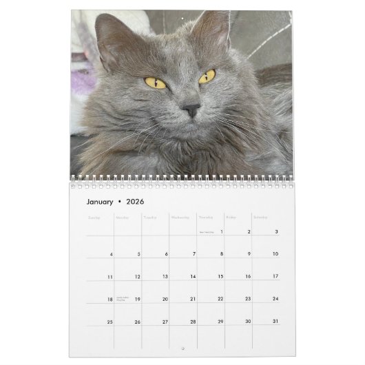 Russisch blauw en gember Sinaasappel Tabby Cats 20 Kalender (Jan 2026)