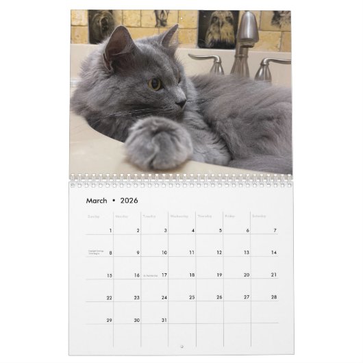 Russisch blauw en gember Sinaasappel Tabby Cats 20 Kalender (Mar 2026)