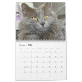 Russisch blauw en gember Sinaasappel Tabby Cats 20 Kalender (Jan 2026)