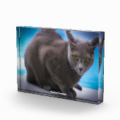 Russisch blauw fotoblokken (Rechts)