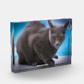 Russisch blauw fotoblokken (Links)