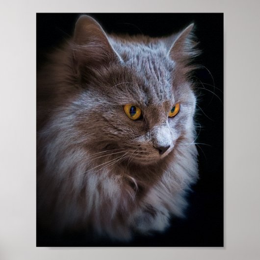Russisch blauw grijs nebelung Cat Wall Art Poster (Voorkant)