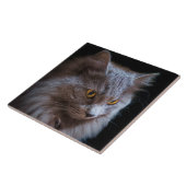 Russisch Blauw Grijs Nebelung Kat Wall Art Tegeltje (Zijkant)