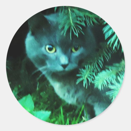 Russisch blauw in groen ronde sticker (Voorkant)
