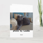 Russisch blauw kaart (Achterkant)