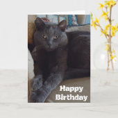 Russisch blauw kaart (Gele Bloem)