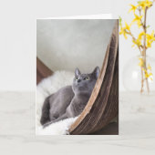 Russisch blauw kaart (Gele Bloem)