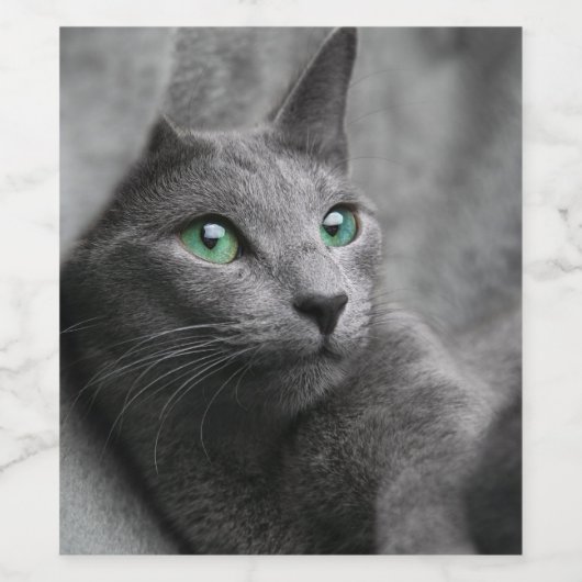 Russisch-blauw-kat-met groene ogen wijn etiket (Enkel label)