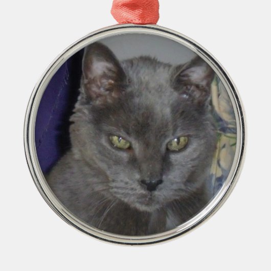 Russisch blauw kat metalen ornament (Voorkant)