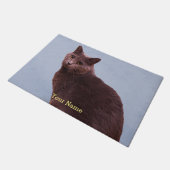 Russisch blauw katje deurmat (Schuin)