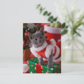 Russisch Blauw Katje en Kerstmis 2 Feestdagenkaart (Staand voorkant)