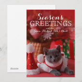 Russisch Blauw Katje en Kerstmis Feestdagenkaart (Voorkant / Achterkant)