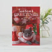 Russisch Blauw Katje en Kerstmis Feestdagenkaart (Staand voorkant)