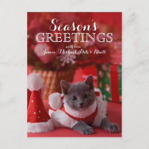 Russisch Blauw Katje en Kerstmis Feestdagenkaart