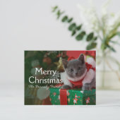 Russisch Blauw Katje en Kerstmis Feestdagenkaart (Staand voorkant)