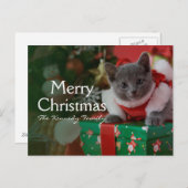 Russisch Blauw Katje en Kerstmis Feestdagenkaart (Voorkant / Achterkant)