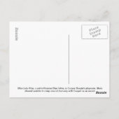 Russisch blauw katje op gras - Briefkaart liola Ka (Achterkant)