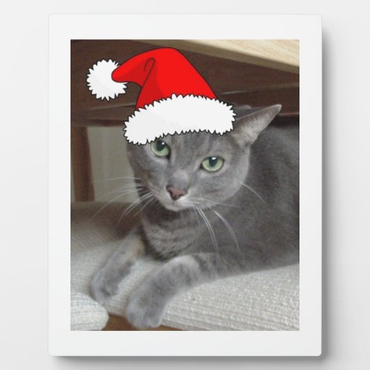Russisch blauw kerstfeest fotoplaat (Voorkant)