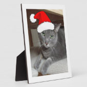 Russisch blauw kerstfeest fotoplaat (Zijkant)