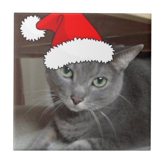 Russisch blauw kerstfeest tegeltje (Voorkant)