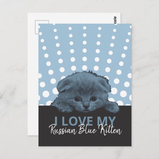Russisch Blauw Kitten Briefkaart (Voorkant / Achterkant)