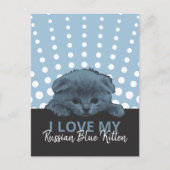 Russisch Blauw Kitten Briefkaart (Voorkant)