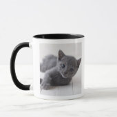Russisch Blauw Kitten Mok (Links)