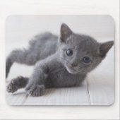 Russisch Blauw Kitten Muismat (Voorkant)