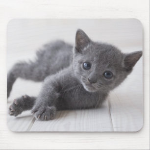 Russisch Blauw Kitten Muismat