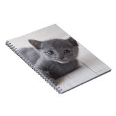 Russisch Blauw Kitten Notitieboek (Rechterzijde)
