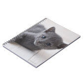 Russisch Blauw Kitten Notitieboek (Linkerzijde)