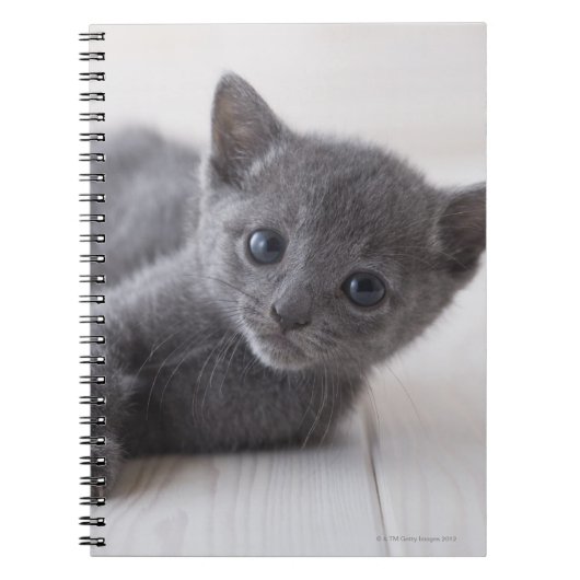 Russisch Blauw Kitten Notitieboek (Voorkant)