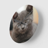 Russisch Blauw Kitten Ronde Klok (Hoek)