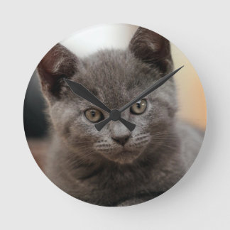 Russisch Blauw Kitten Ronde Klok