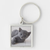 Russisch Blauw Kitten Sleutelhanger (Voorkant)