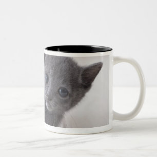 Russisch Blauw Kitten Tweekleurige Koffiemok