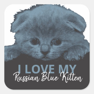 Russisch Blauw Kitten Vierkante Sticker