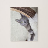 Russisch blauw legpuzzel (Verticaal)