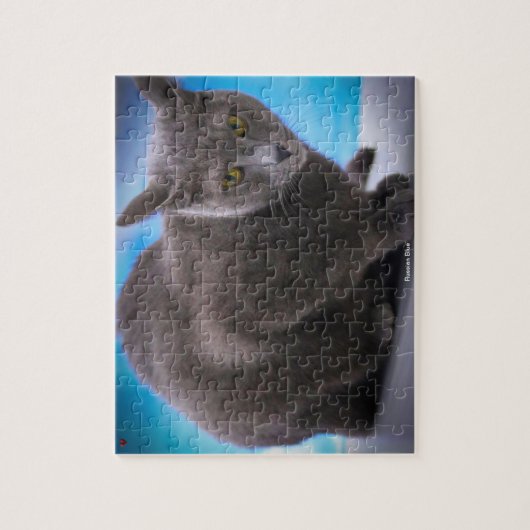 Russisch blauw legpuzzel (Verticaal)