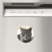 Russisch blauw mix magneet (Insitu (Vaatwasser))