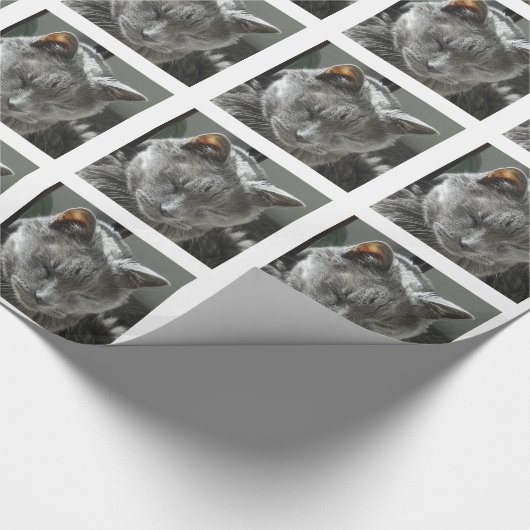 Russisch blauw pakpapier (Hoek)