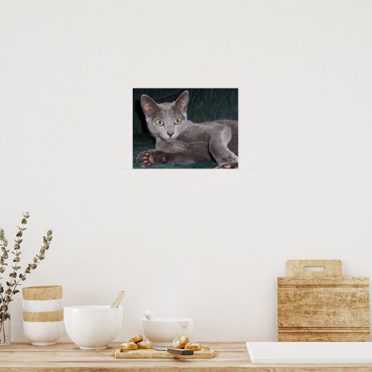 Russisch blauw Poster (Keuken)