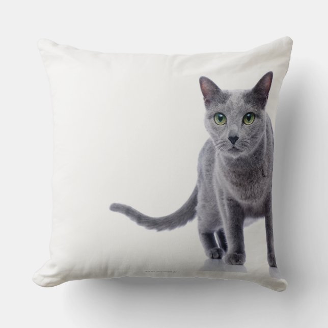 Russisch Blauwe Kat Kussen (Voorkant)