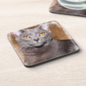 RUSSISCH BLAUWE KAT ONDERZETTERS (Linkerzijde)