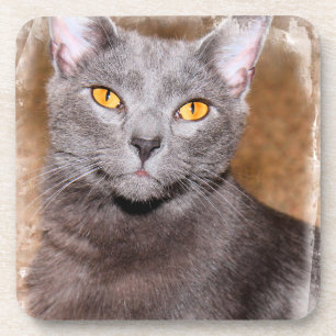 RUSSISCH BLAUWE KAT ONDERZETTERS